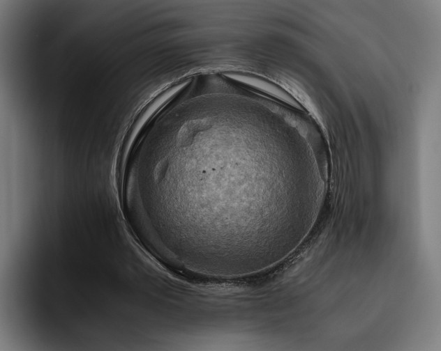 X0000093510389200710121535