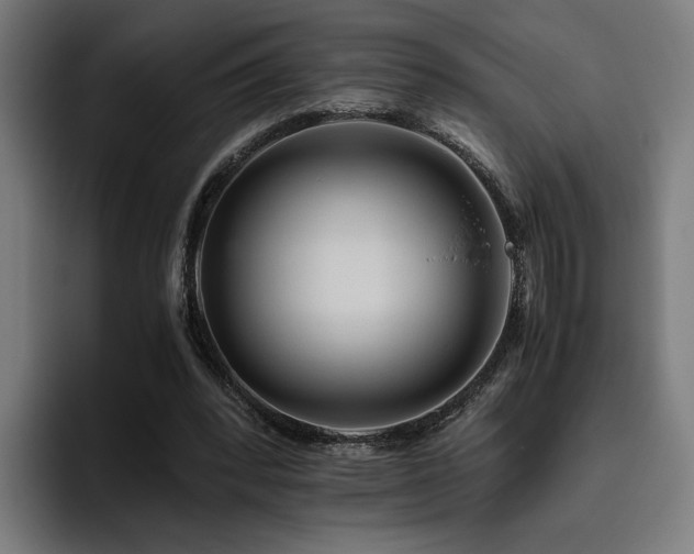 X0000093510392200710121535
