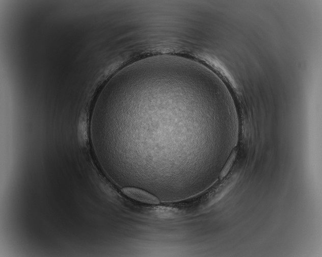 X0000093510393200710121535