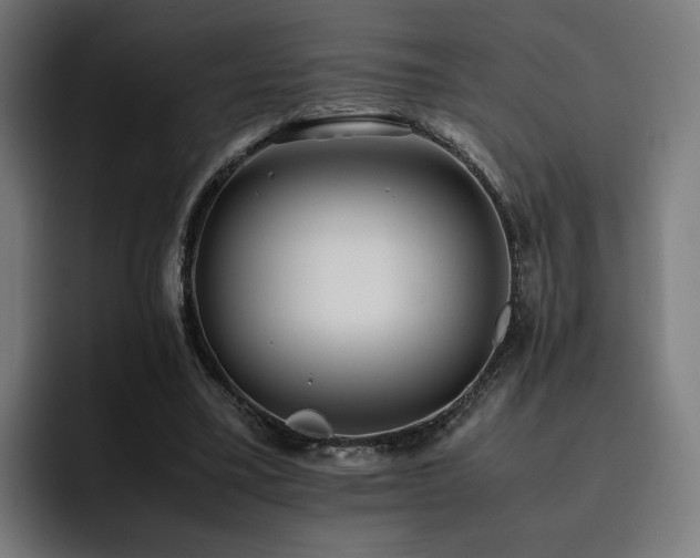 X0000093510395200710121535