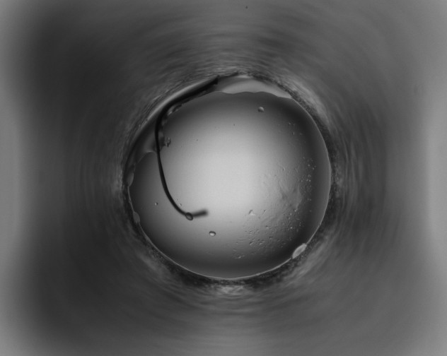 X0000093510401200710121535