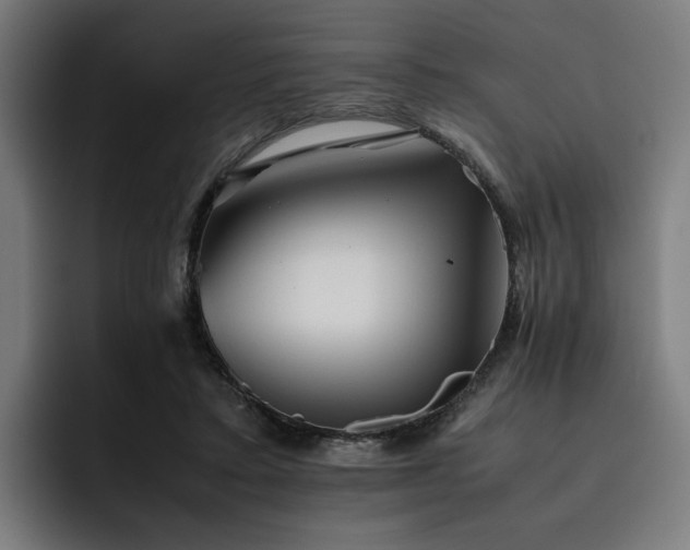 X0000093510403200710121535