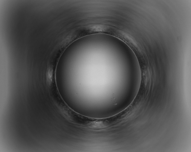 X0000093510406200710121535