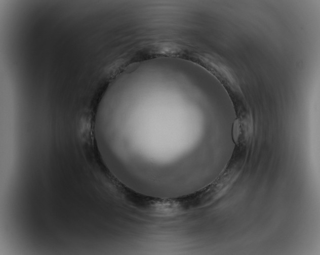 X0000093510415200710121535