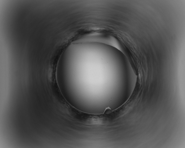 X0000093510416200710121535