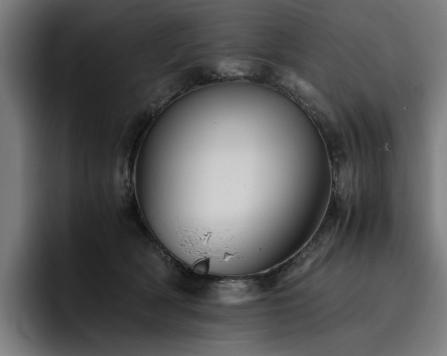 X0000093510418200710121535