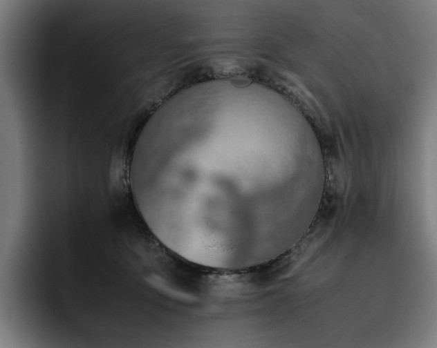 X0000093510419200710121535