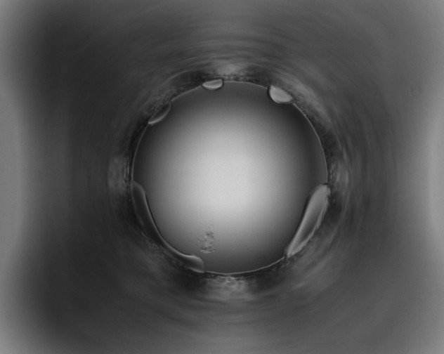 X0000093510421200710121535