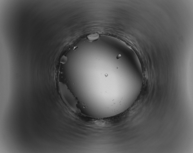 X0000093510423200710121535
