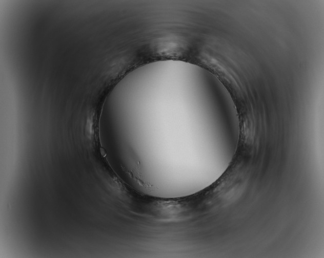 X0000093510424200710121535