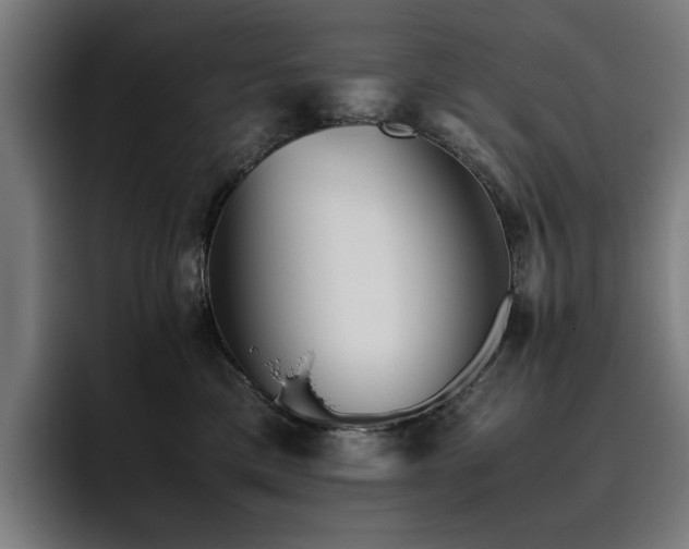X0000093510425200710121535