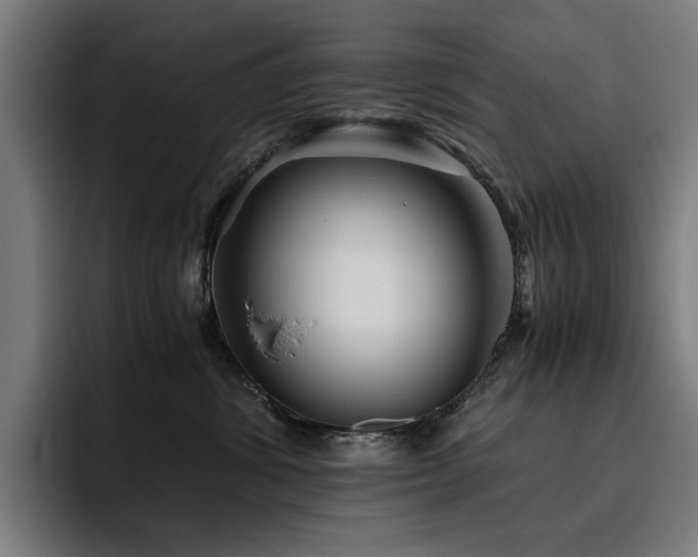 X0000093510428200710121535