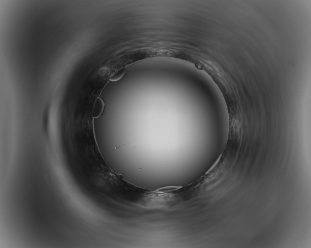 X0000093510429200710121535