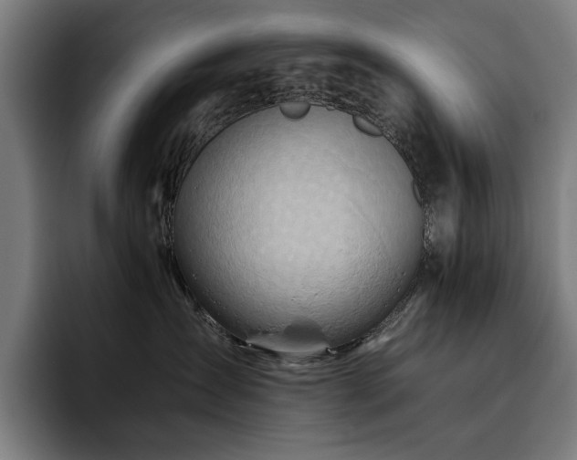 X0000093510431200710121535