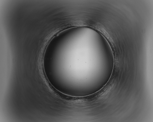 X0000093510433200710121534