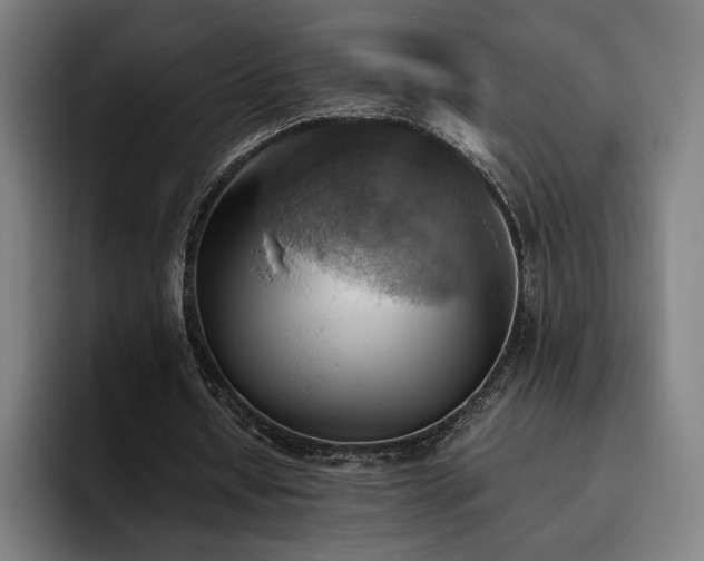 X0000093510434200710121534