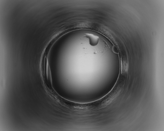 X0000093510435200710121534
