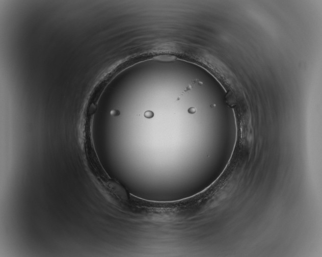 X0000093510436200710121534