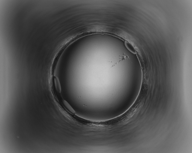 X0000093510437200710121534