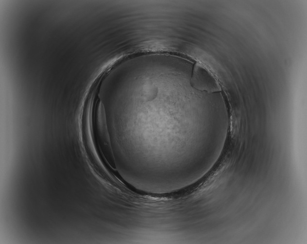 X0000093510438200710121534