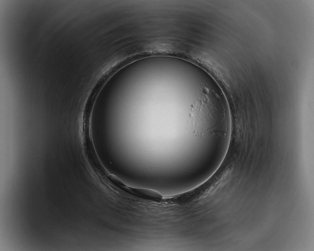 X0000093510439200710121534