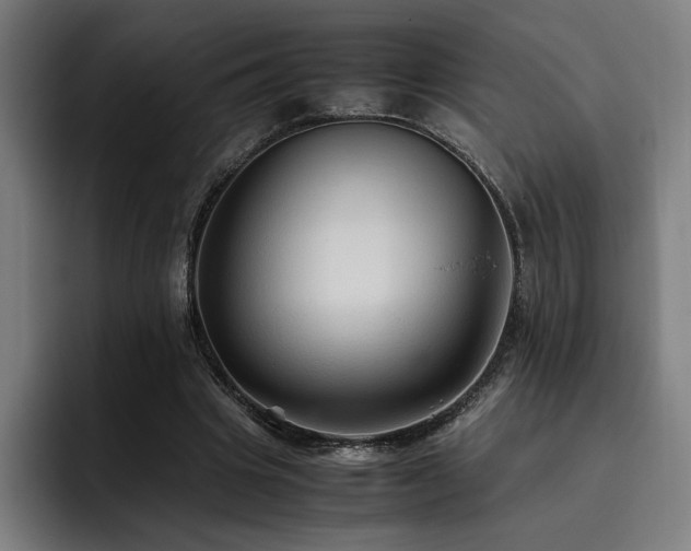 X0000093510441200710121534
