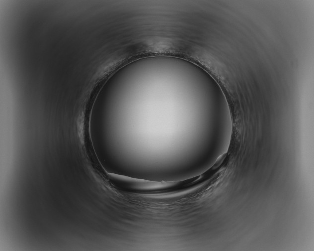 X0000093510442200710121534