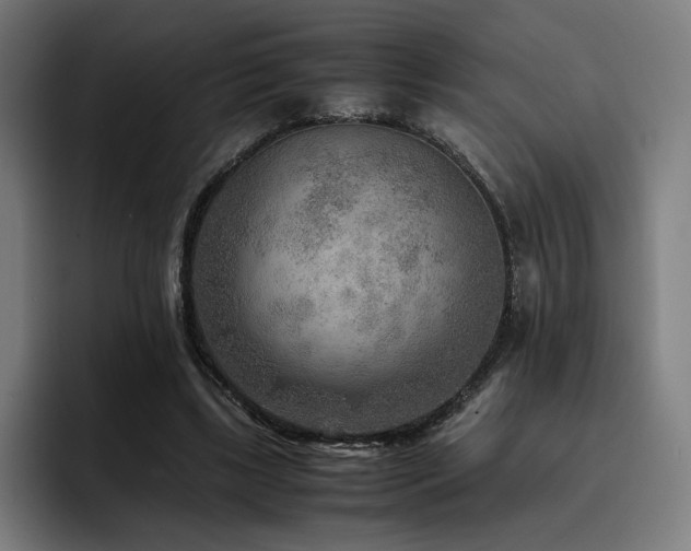 X0000093510443200710121534