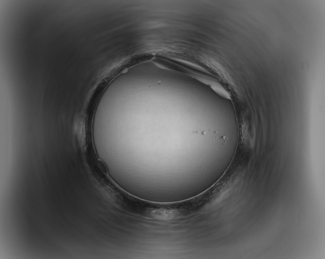 X0000093510444200710121534