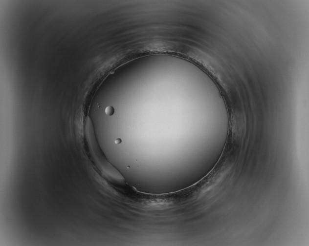 X0000093510445200710121534