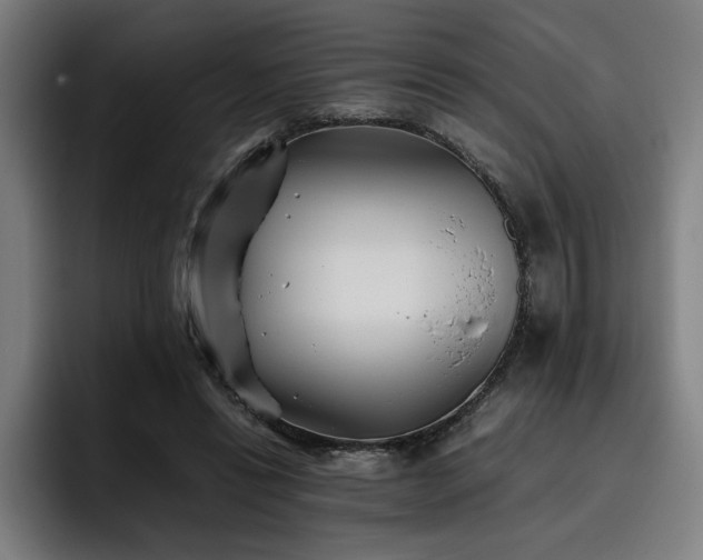 X0000093510446200710121534