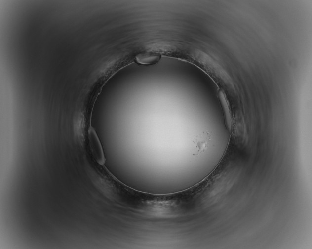 X0000093510448200710121534