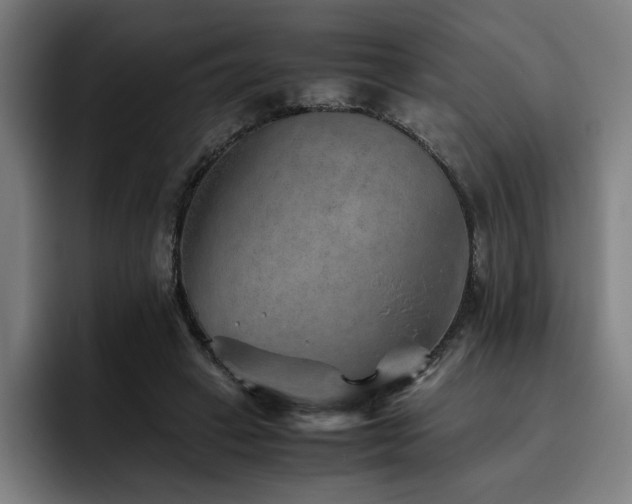 X0000093510449200710121534