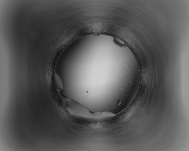 X0000093510450200710121534