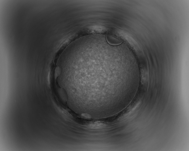 X0000093510451200710121534