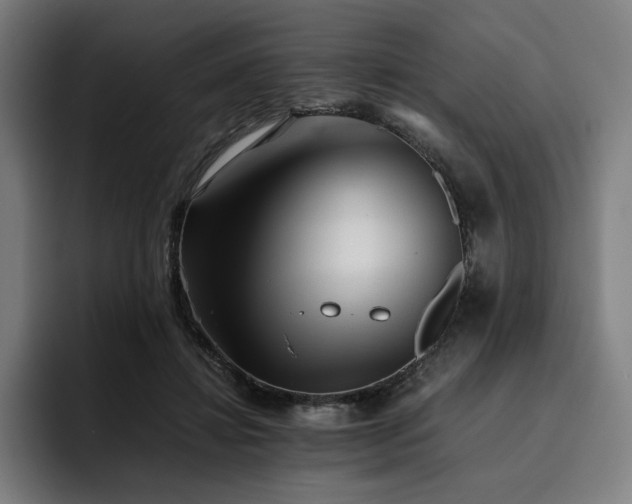 X0000093510452200710121534