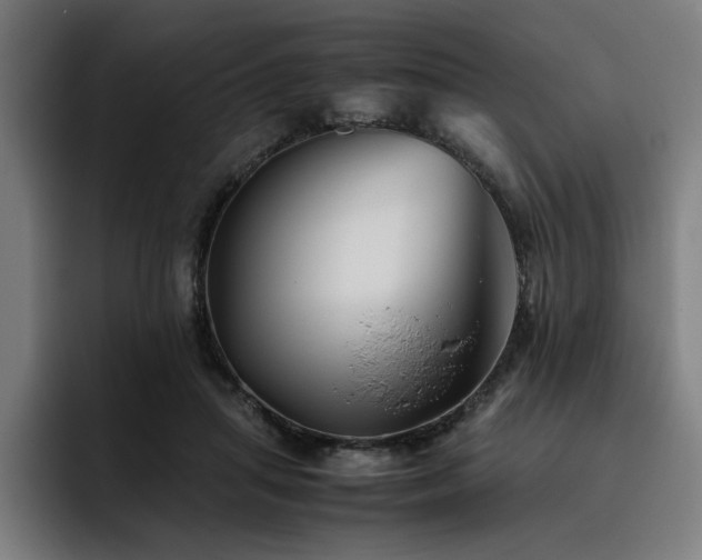 X0000093510455200710121534