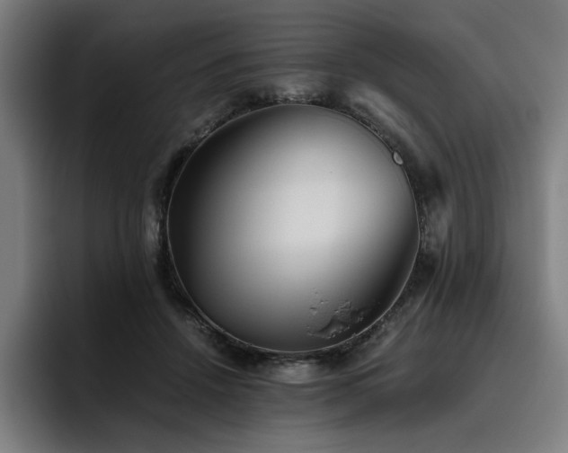 X0000093510456200710121534
