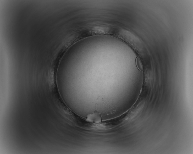 X0000093510457200710121534