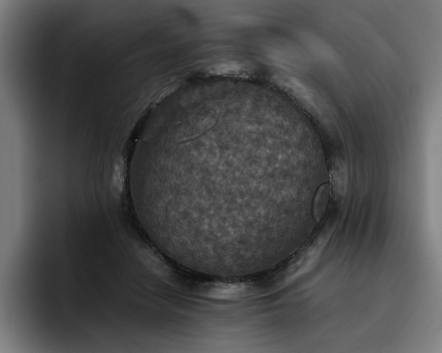 X0000093510458200710121534