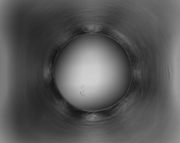 X0000093510460200710121534