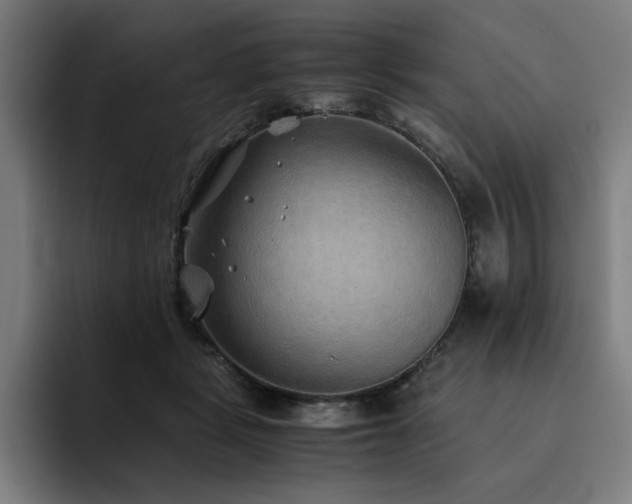 X0000093510461200710121534