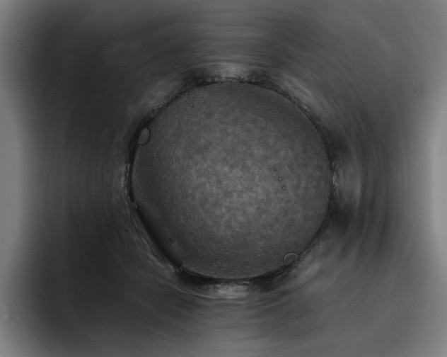 X0000093510462200710121534