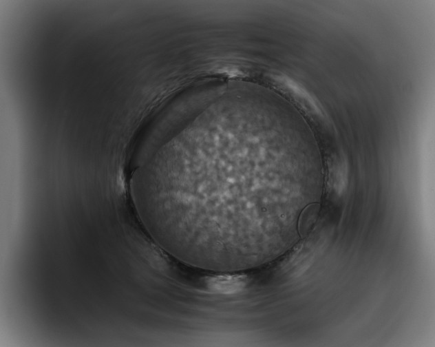 X0000093510465200710121534
