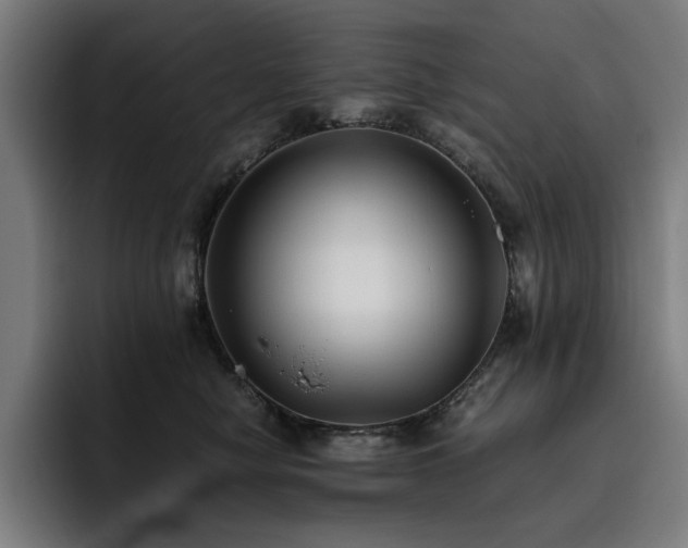 X0000093510470200710121535
