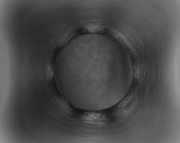 X0000093510471200710121535