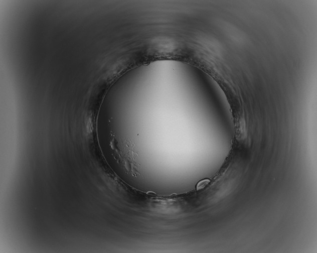 X0000093510472200710121535