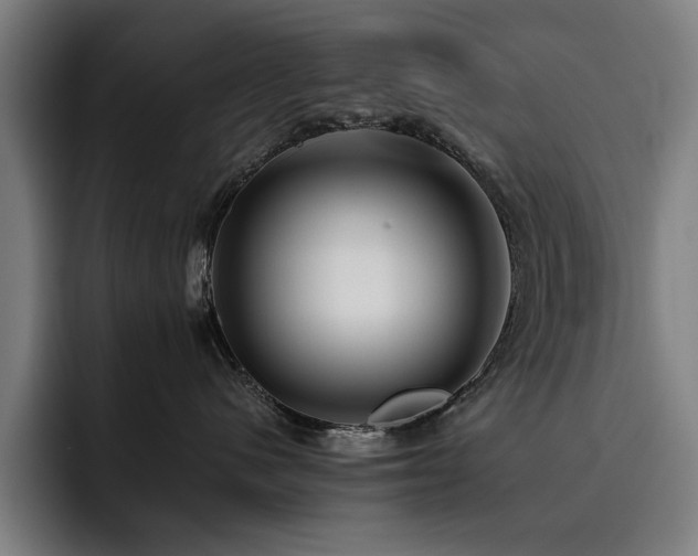 X0000093510480200710121535