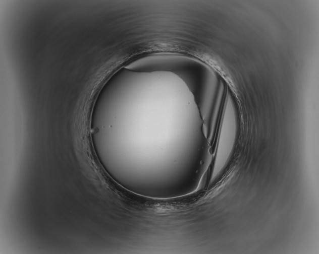 X0000093510481200710121534