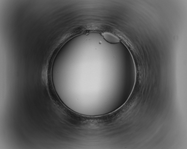 X0000093510482200710121534
